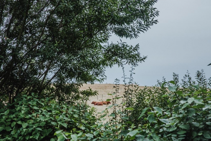 Hotel Restaurant Sparhof