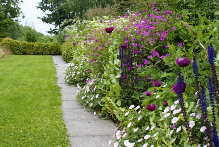 B&B De Heerlijkheid Ruinerwold