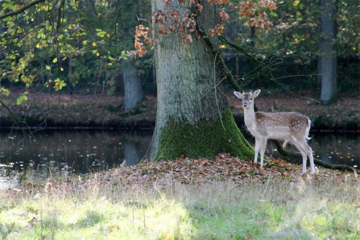 Hotel Kasteel de Essenburgh