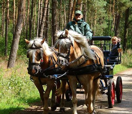 Hotel-Restaurant Koeckhofs