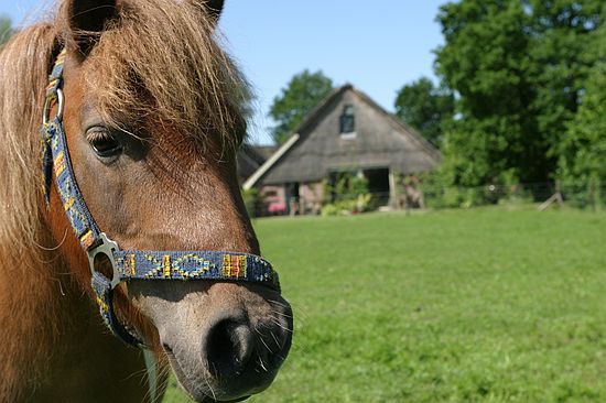 Bed and Breakfast Kamer 7