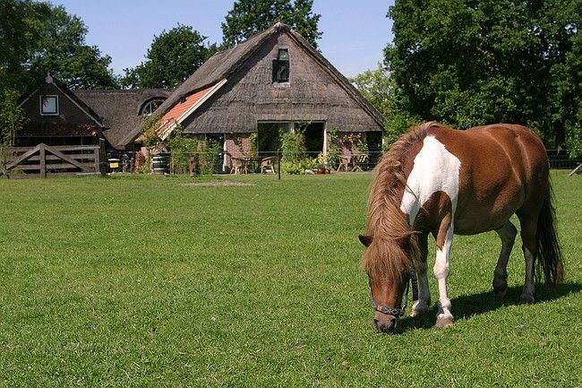 Bed and Breakfast Kamer 7