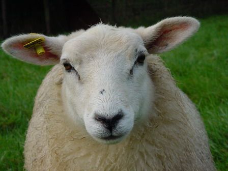 Bed and Breakfast Kamer 7