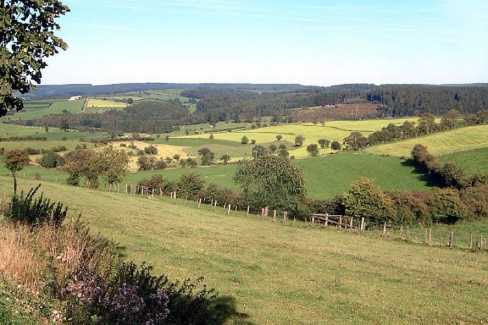 Relax Hotel Pip-Margraff