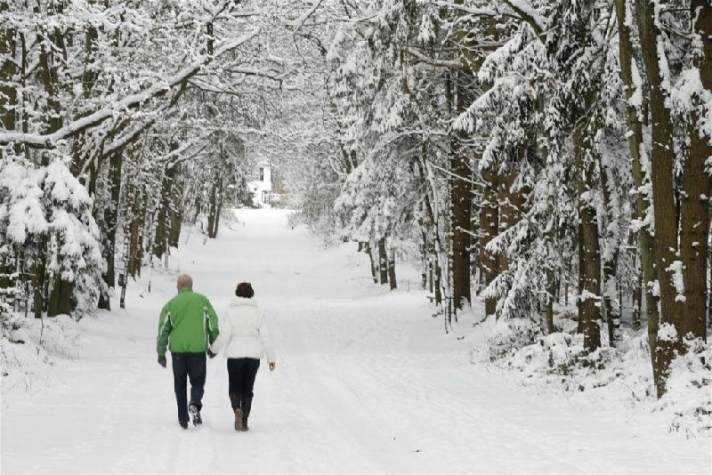 Art & Wellness Hotel Huis ten Wolde