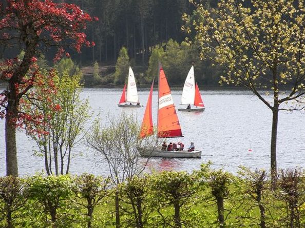 Wellnesshotel Auerhahn