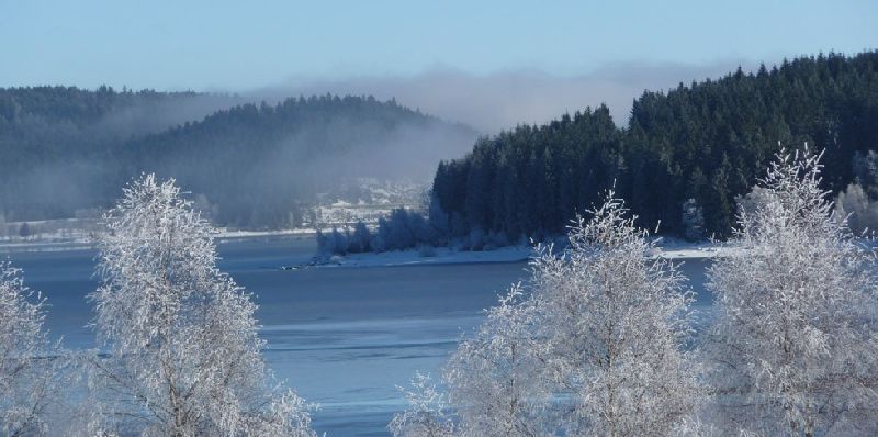 Wellnesshotel Auerhahn
