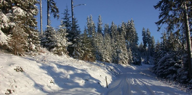 Wellnesshotel Auerhahn