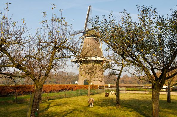 De Klomp - Charme Hotel & Restaurant