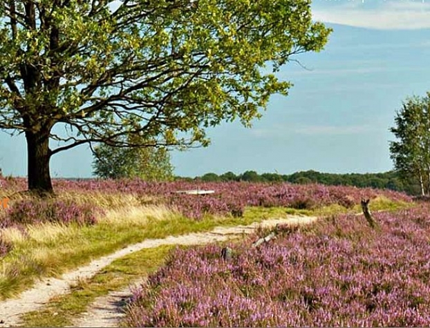 Hotel-Restaurant Ruyghe Venne