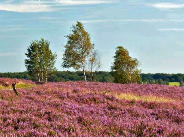 Hotel-Restaurant Ruyghe Venne