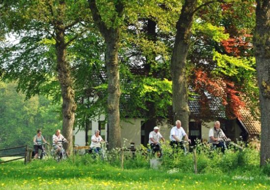 Art & Wellness Hotel Huis ten Wolde