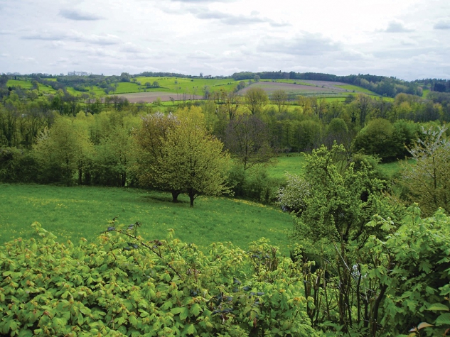 Fletcher Hotel-Restaurant De Burghoeve