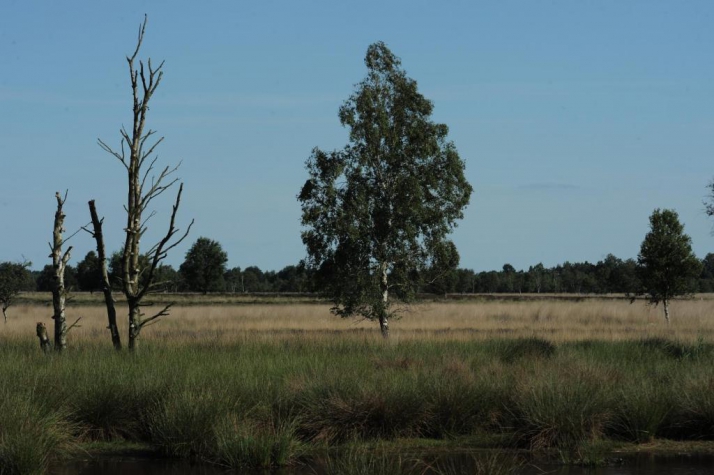 Wellness Hotel & Golf Resort Zuiddrenthe