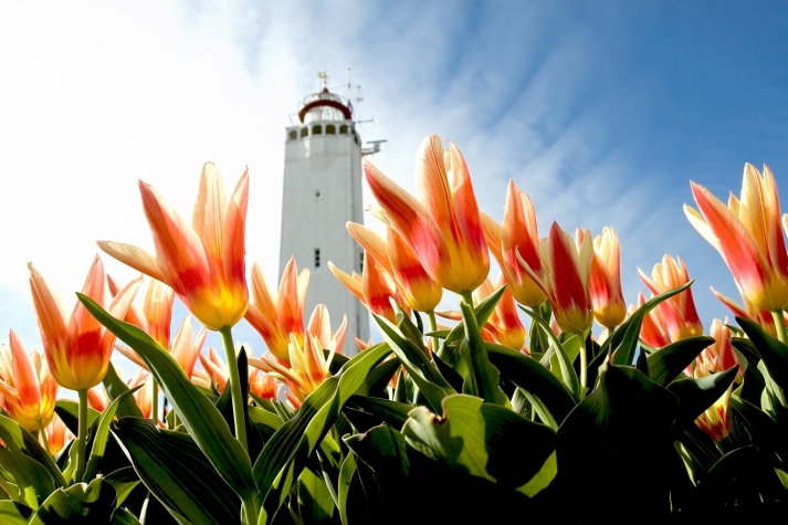 Two Brothers Noordwijk Beach