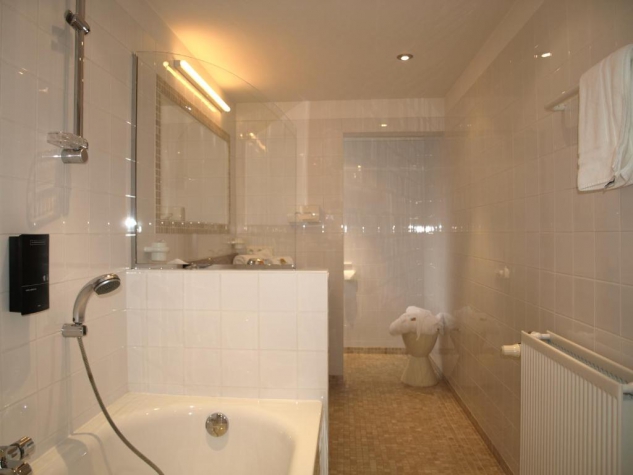 Hotel Le Vieux Moulin