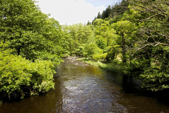Hotel De Lange Man Monschau Eifel