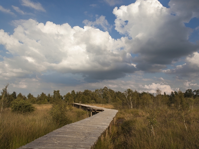 Fletcher Kloosterhotel Willibrordhaeghe