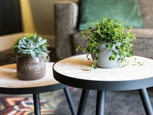 Fletcher Landgoed Hotel Holthurnsche Hof