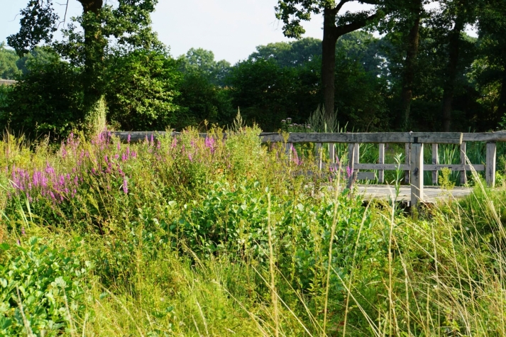 Landhuishotel De Bloemenbeek