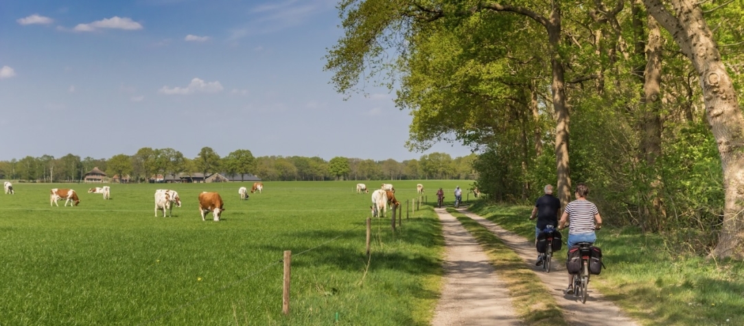 Resort Bad Boekelo