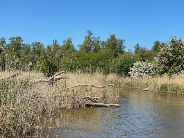 Fletcher Hotel-Restaurant De Korenbeurs