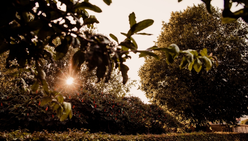 't Kasteel & 't Koetshuys