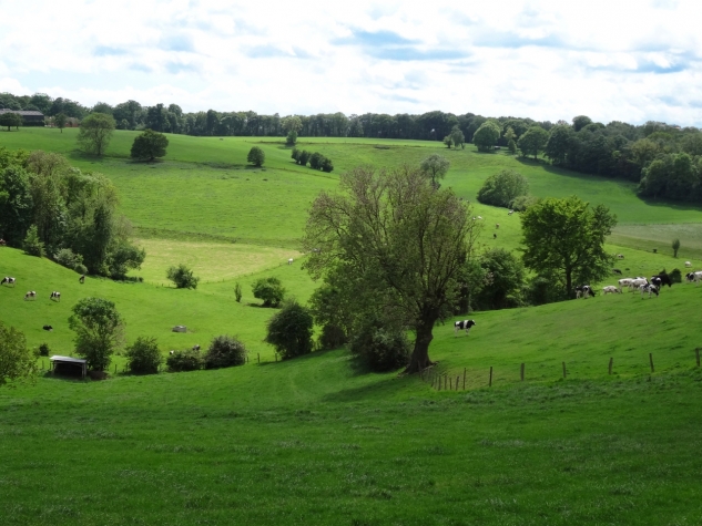 Saillant Hotel Gulpenerland