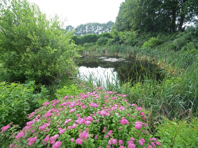 Fletcher Landhotel De Borken