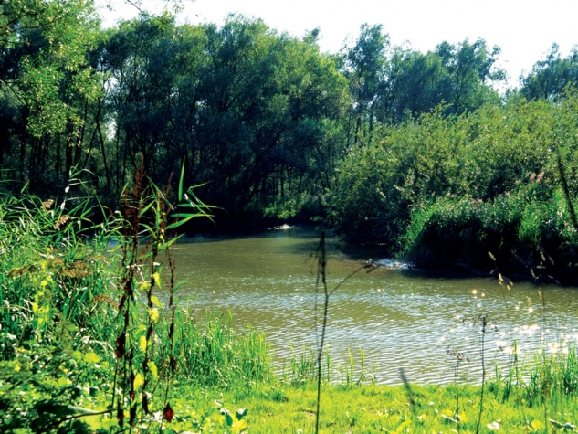 Fletcher Hotel-Restaurant Prinsen