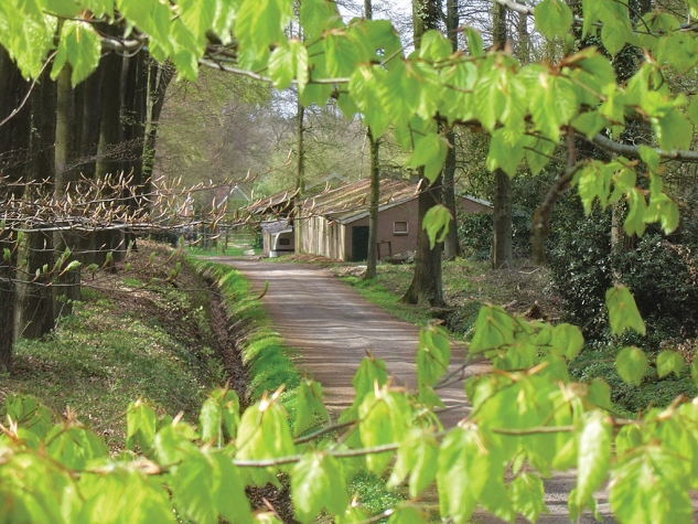 Fletcher Hotel-Restaurant De Grote Zwaan