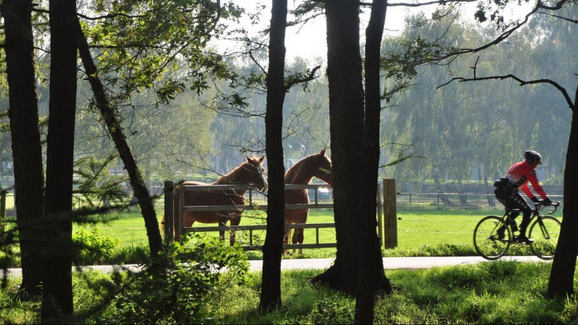 Hotel Restaurant Umberto