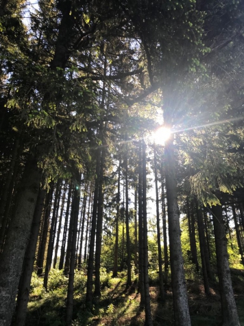 Parkhotel Schmallenberg