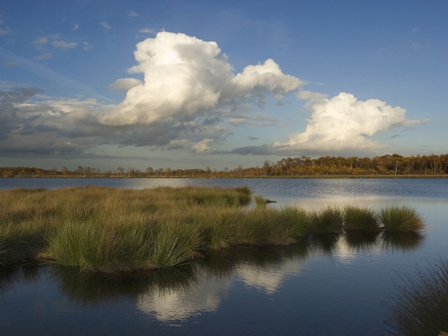 Fletcher Kloosterhotel Willibrordhaeghe
