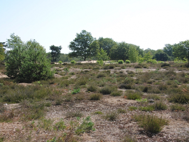 Fletcher Hotel-Restaurant De Zeegser Duinen