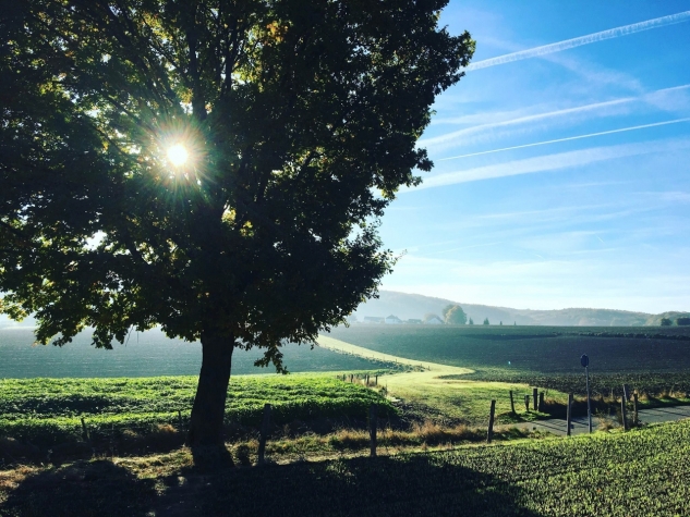 Saillant Hotel Gulpenerland