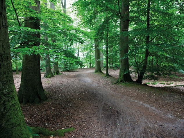 Fletcher Hotel-Restaurant Dinkeloord