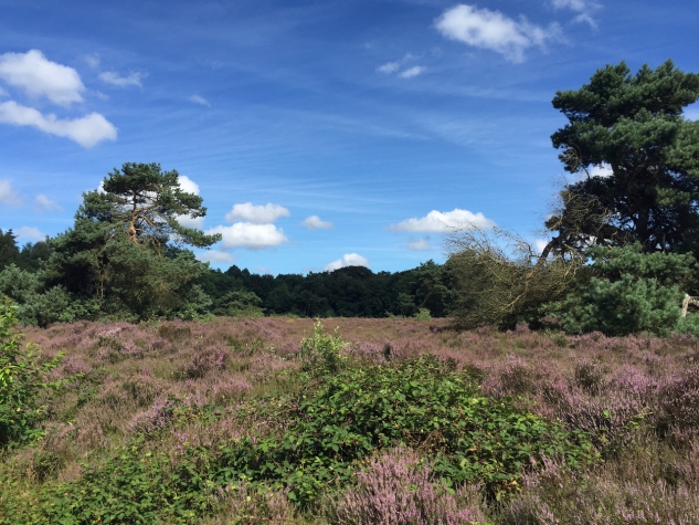 Hotel De Werelt Garderen