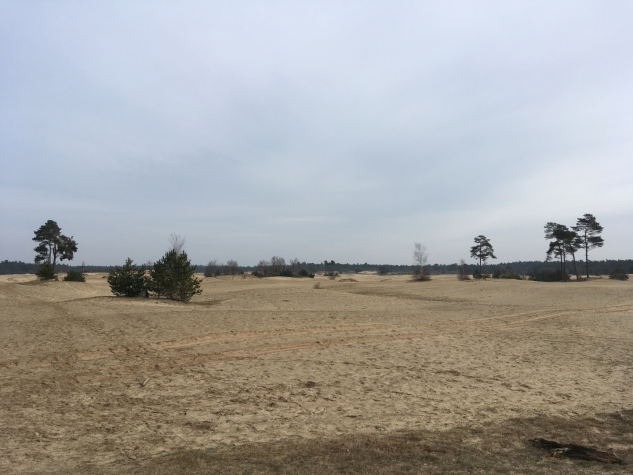 Hotel de Heerlickheijd van Ermelo