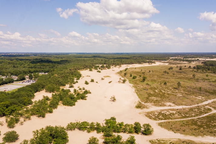 Golden Tulip Hotel Central