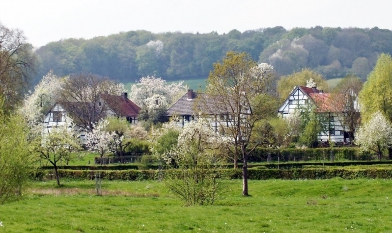 Saillant Hotel Brull