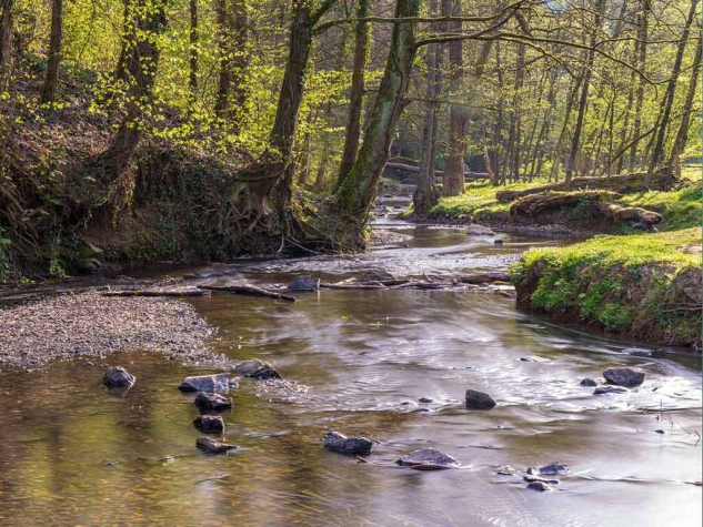Fletcher Waldhotel Nordrhein-Westfalen