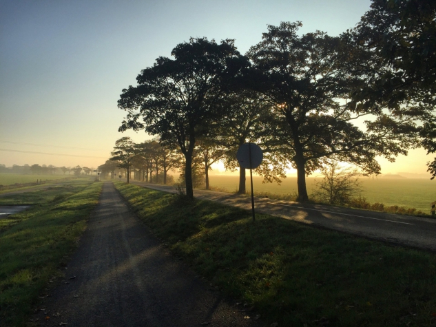 Frieslandhotel WeidumerHout