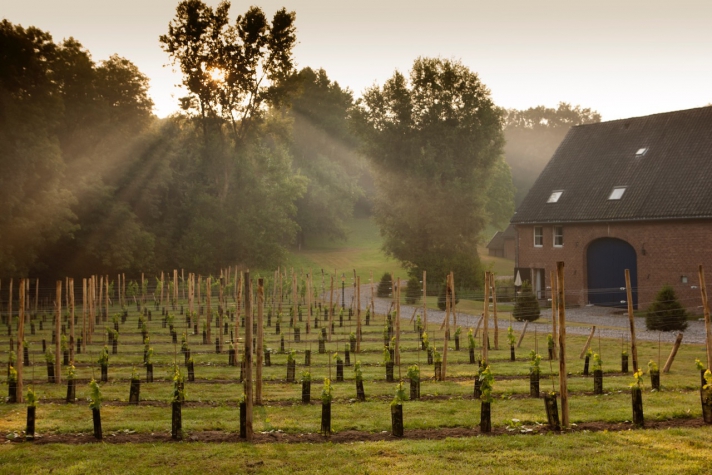 Hotel Winselerhof by Flow