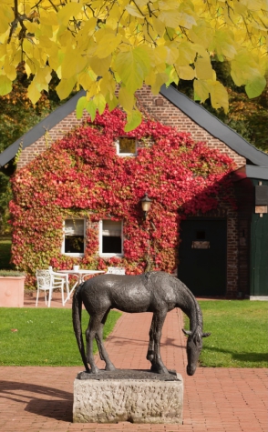 Hotel Winselerhof by Flow