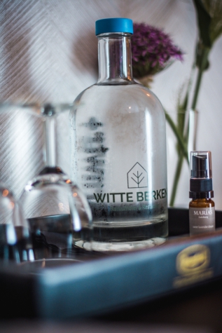 Witte Berken Natuurhotel