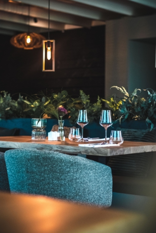 Witte Berken Natuurhotel