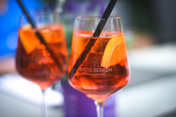 Witte Berken Natuurhotel