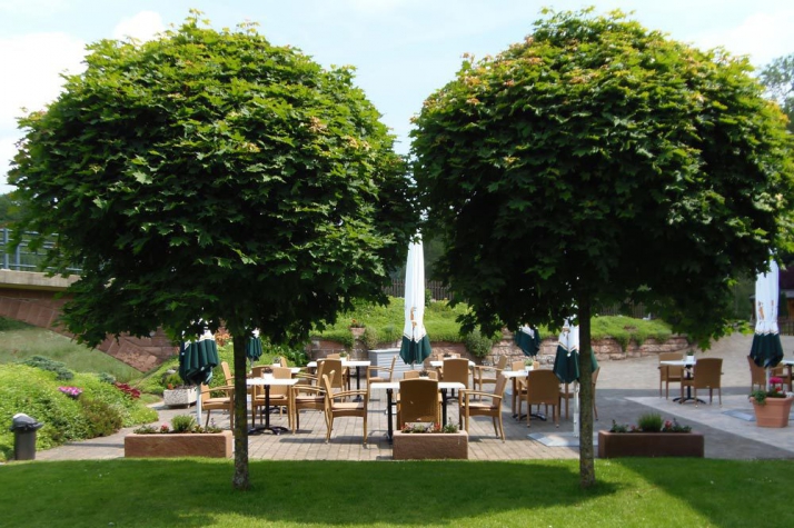 Hotel Zur Alten Mühle